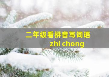 二年级看拼音写词语zhi chong